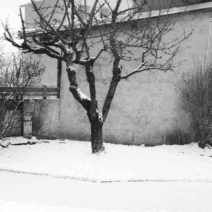 Apartment Cote-bourget 4 Pers Duplex Les Forts Proche La Norma Aussois *